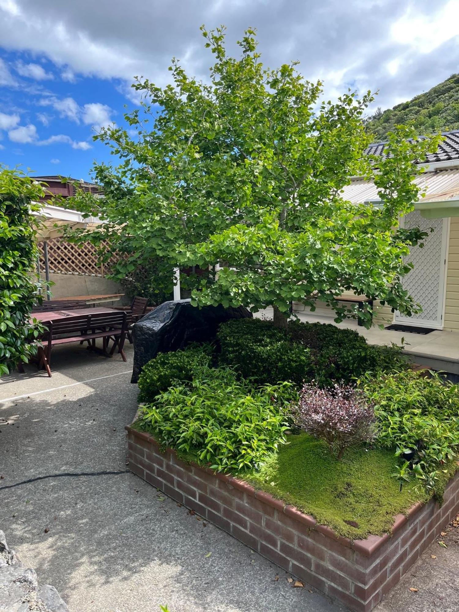 Retro 4 Bedroom Home, Warm And Welcoming, Quiet Location Porirua Exterior foto
